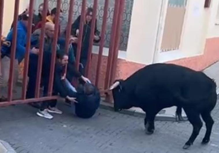 Herido tras una aparatosa embestida en el Toro de San Blas de Castronuño