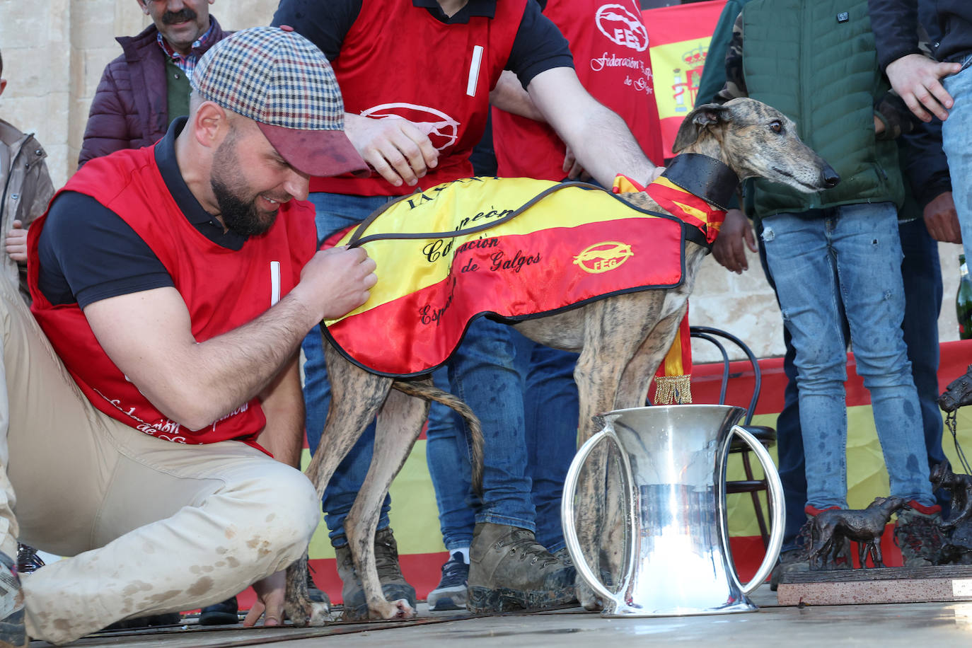 Final del Campeonato de España de Galgos en Nava del Rey