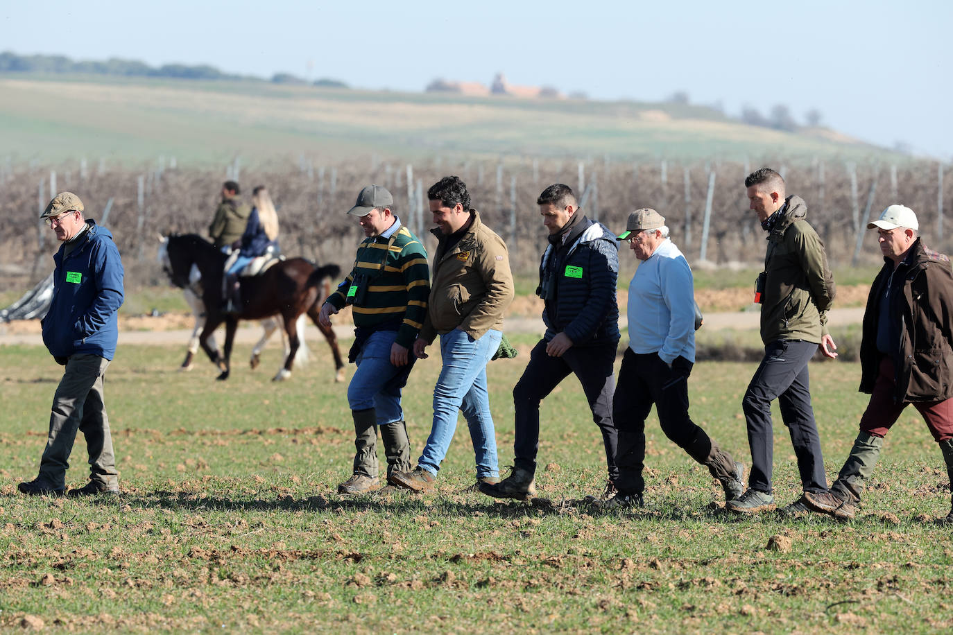 Final del Campeonato de España de Galgos en Nava del Rey