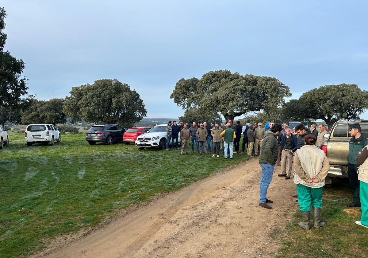 Los ganaderos salmantinos se concentran en las fincas y paran el saneamiento