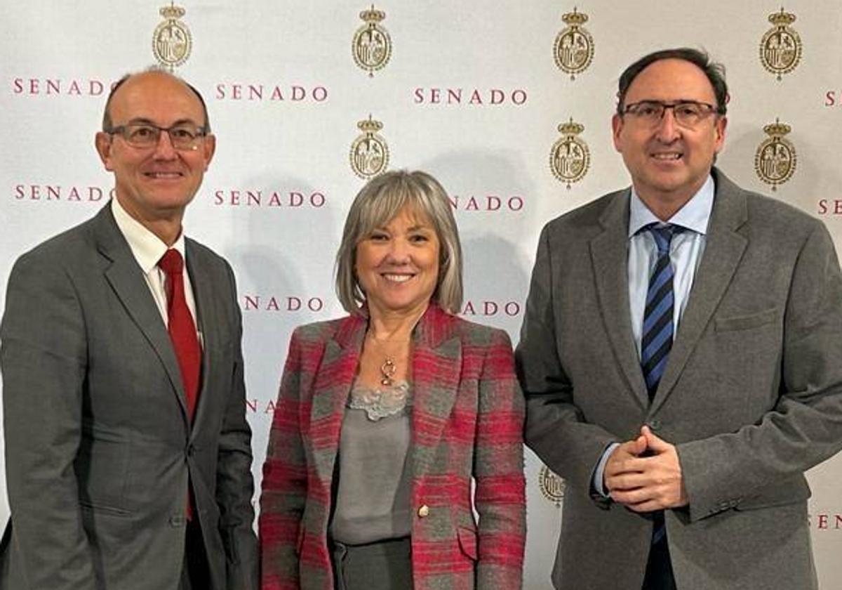 Los senadores palentinos Jorge Martínez Antolín, María José Ortega y Alfonso Polanco.