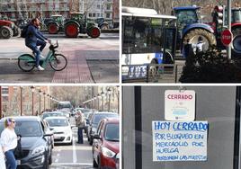 Arriba, un ciudadano en Biki por Zorrilla. A la derecha, autobús parado a la salida de Parquesol. Debajo, a la izquierda, atasco en el Puente Mayor, A la derecha, pescadería cerrada en Santa Clara.