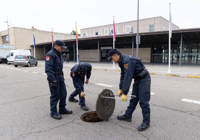 Los especialistas revisan todos los recovecos en los entornos de la Feria de Valladolid.