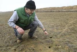 Un agricultor palentino señala algunas de las huras de los topillos en su parcela.