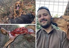 Imágenes de Wfi con su dueño y su trágico final.