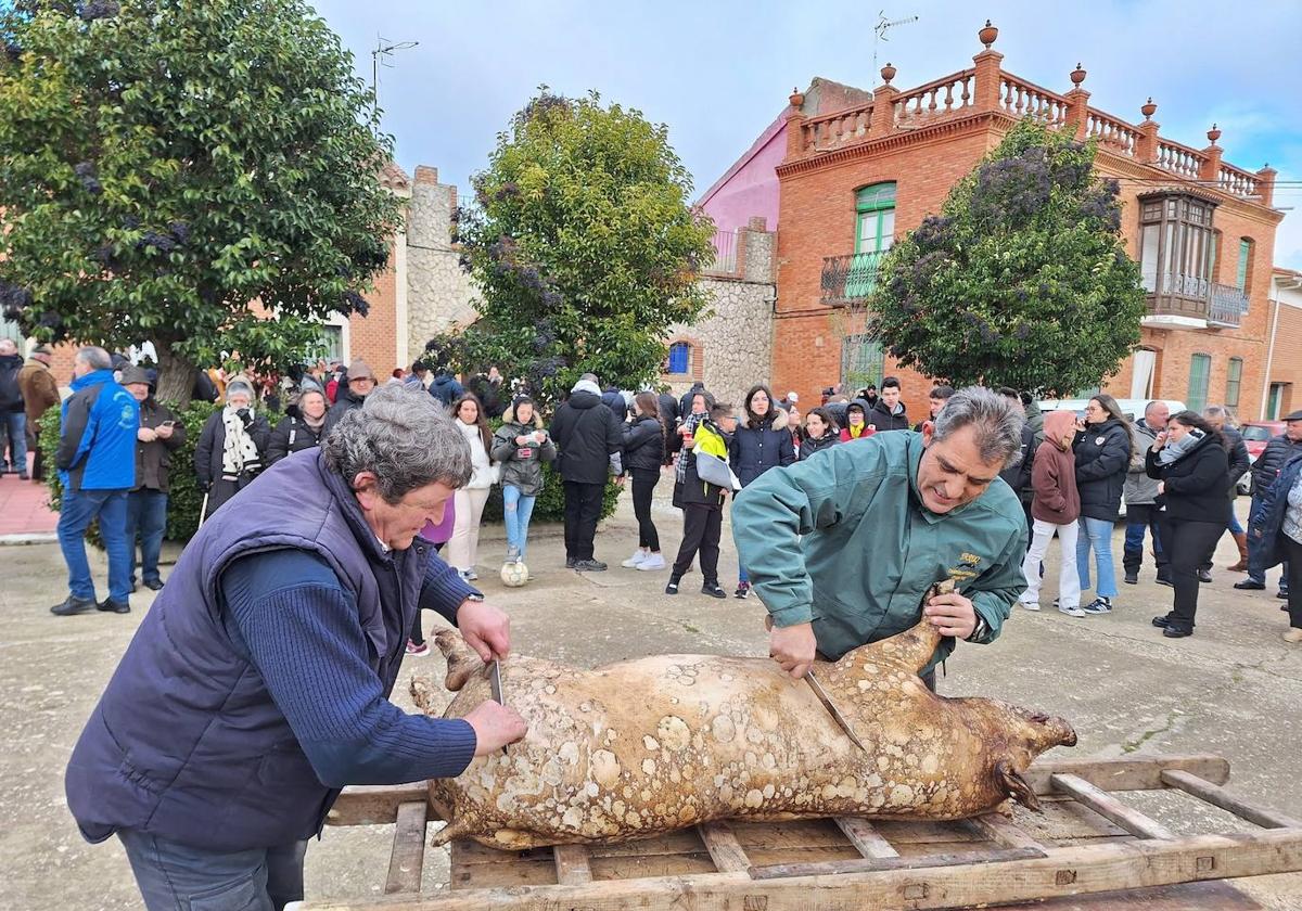 Escena de la matanza en Palazuelo de Vedija.