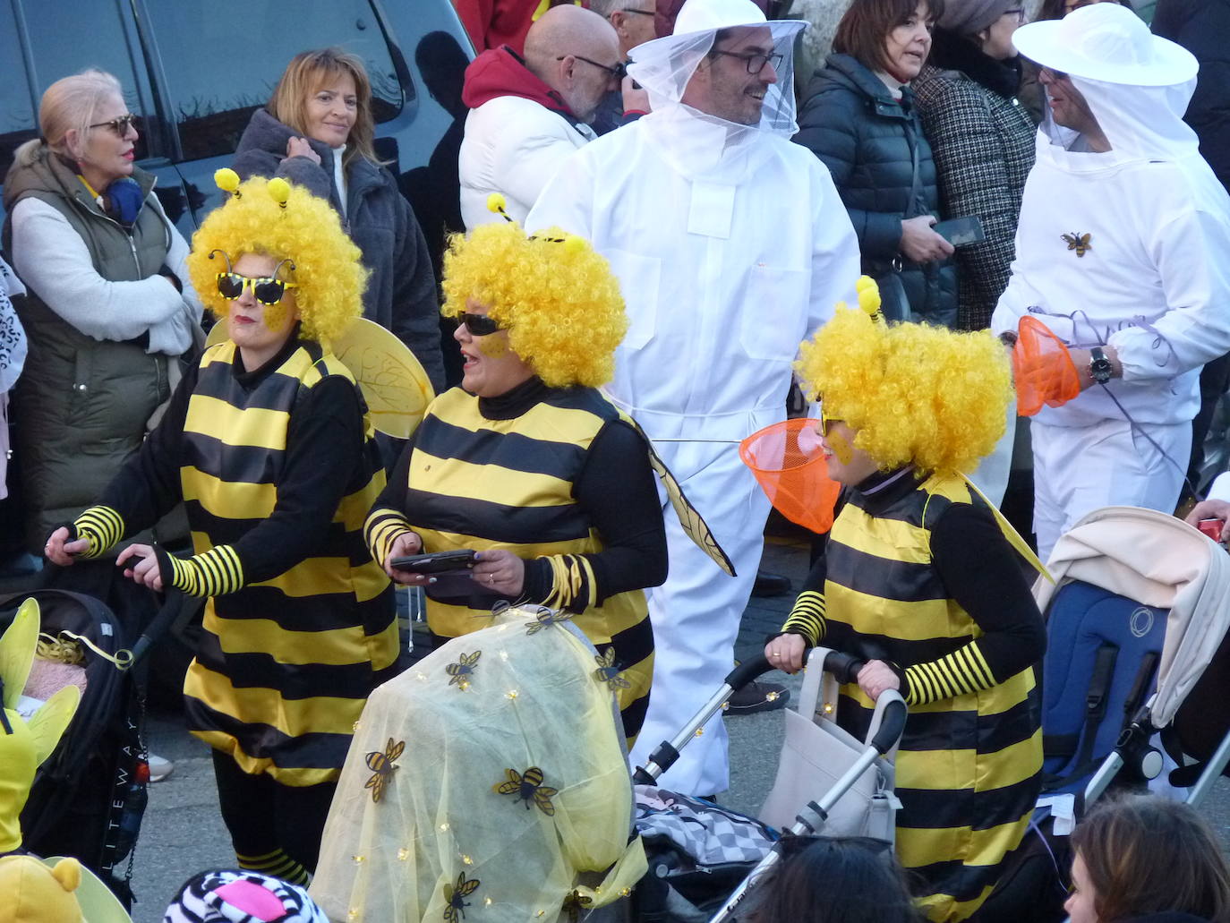 Las imágenes del carnaval de Tudela