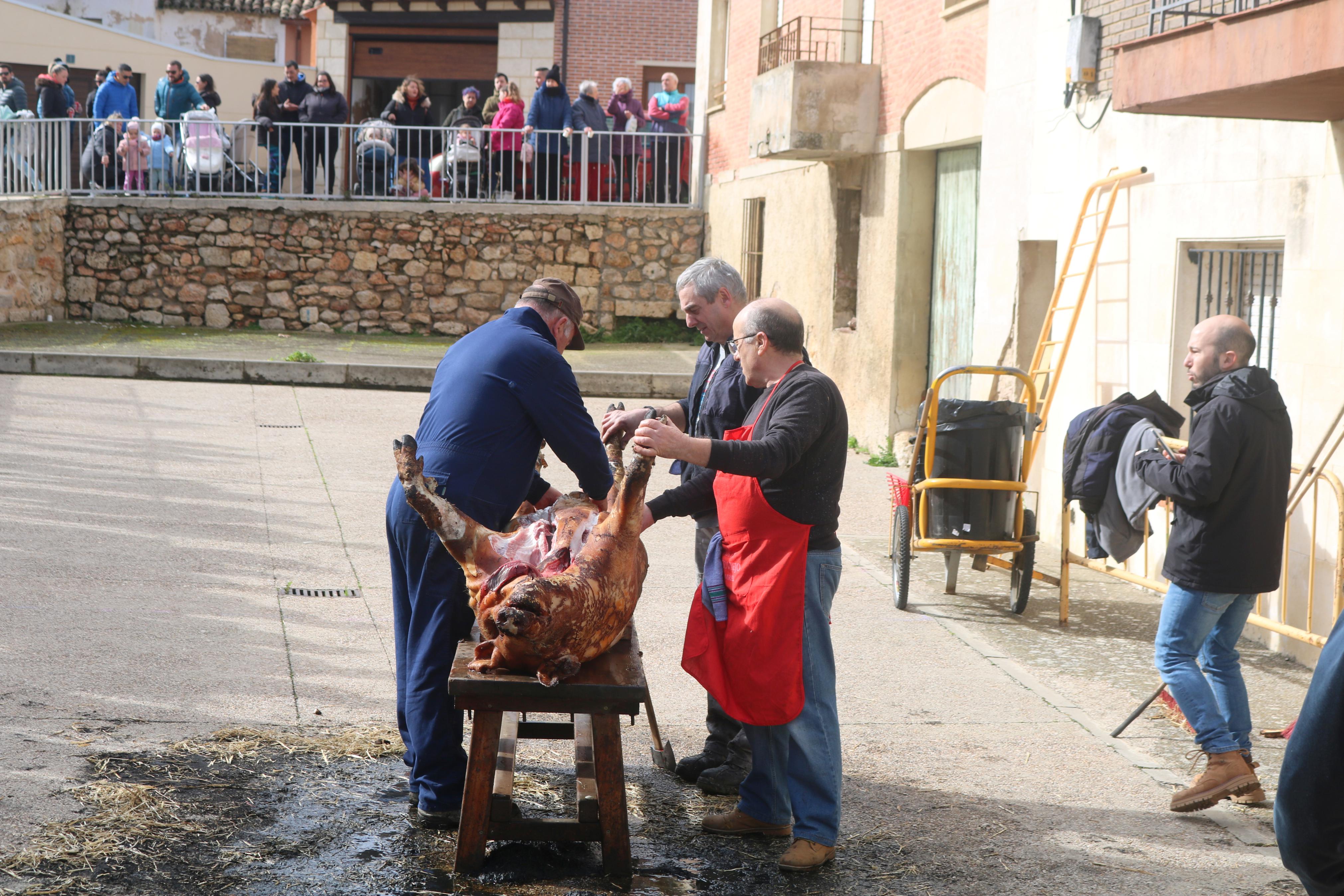 Villamuriel de Cerrato celebra su Fiesta de la Matanza