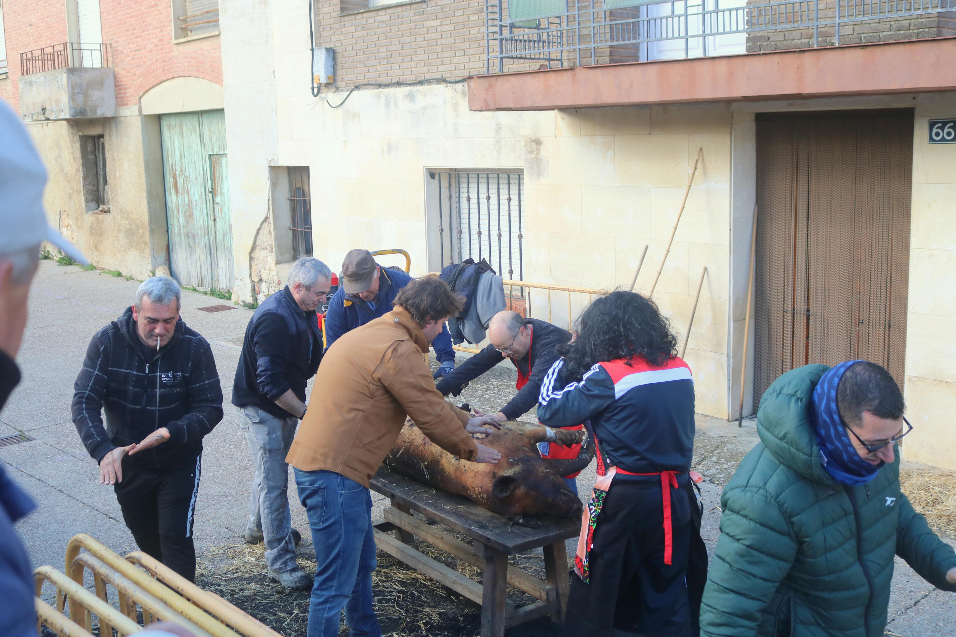 Villamuriel de Cerrato celebra su Fiesta de la Matanza