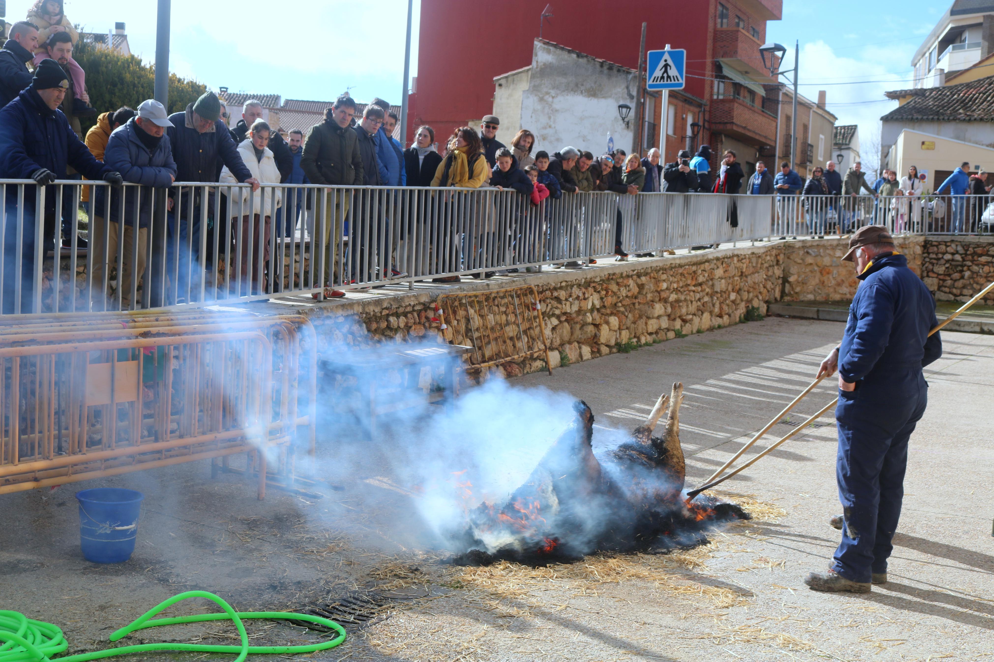 Villamuriel de Cerrato celebra su Fiesta de la Matanza
