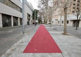 Alfombra roja en un lateral de la Feria de Valladolid un día después de la gala de los Goya.