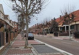 En la calle Tierra de Arévalo se procederá también a la tala de los árboles ante la oposición vecinal.