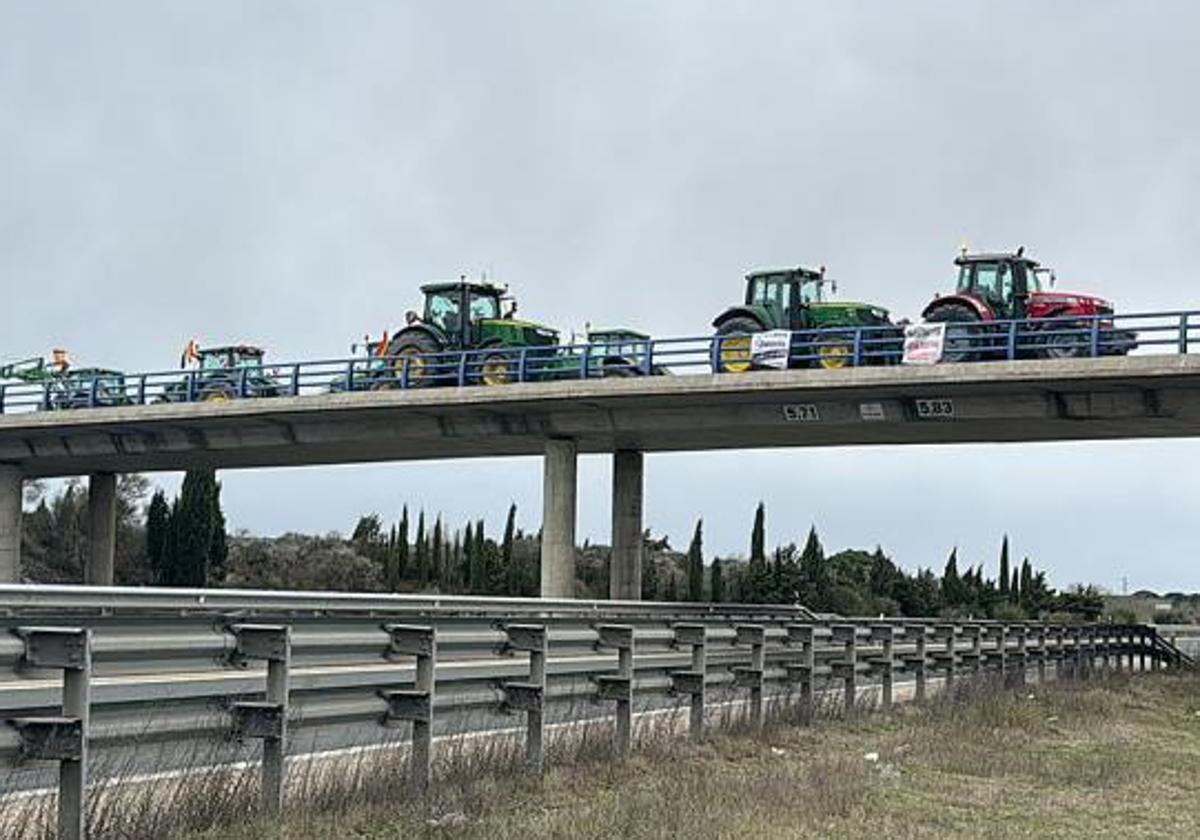 Tractorada de agricultores entre Tudela y Sardón sobre la autovía de Soria A-11.