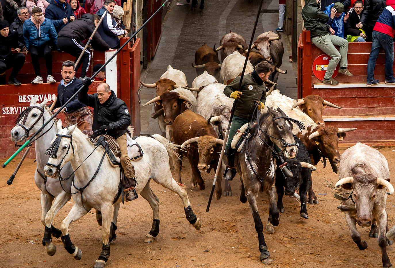 Las espectaculares imágenes del Carnaval del Toro de Ciudad Rodrigo