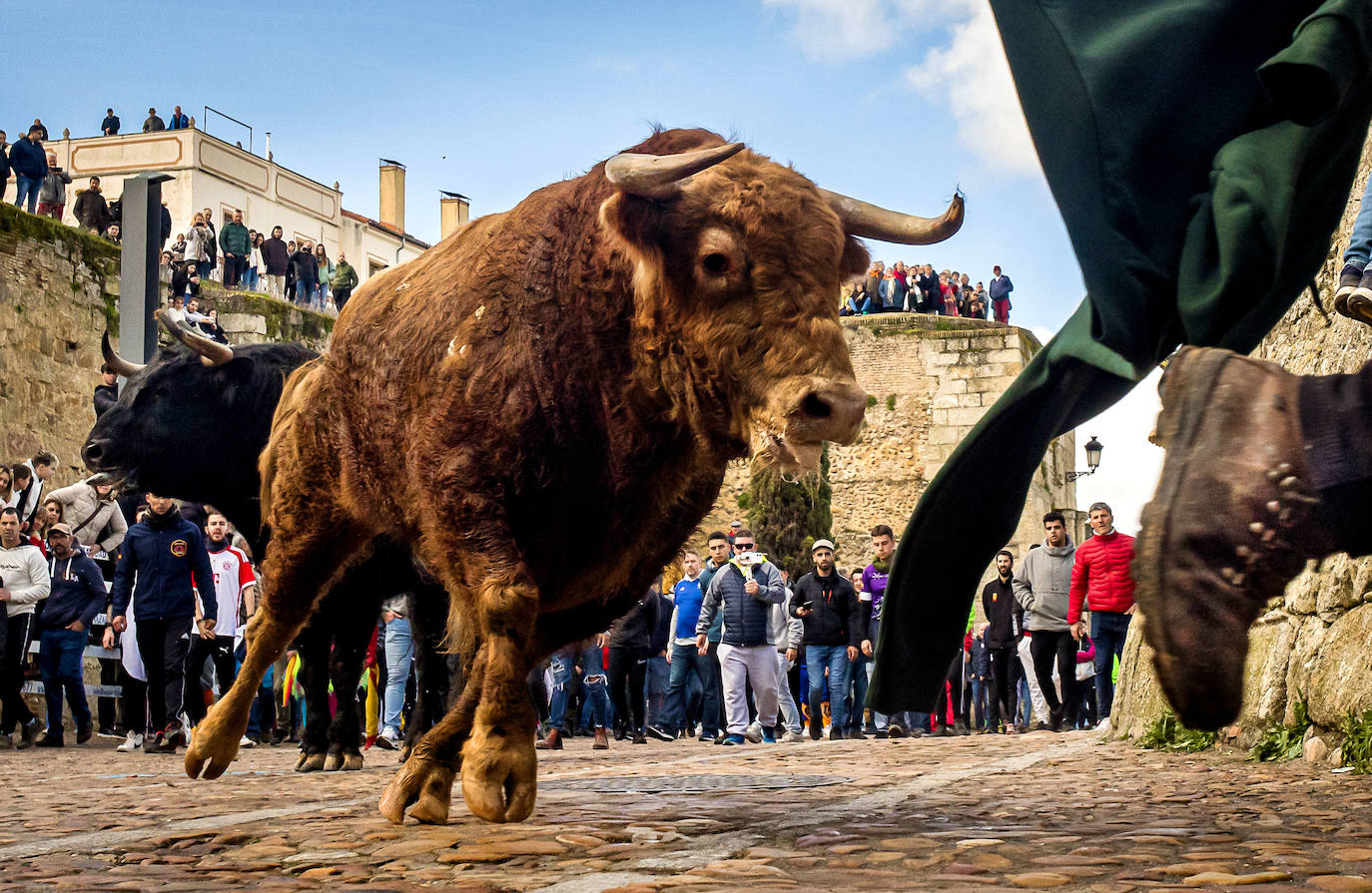 Las espectaculares imágenes del Carnaval del Toro de Ciudad Rodrigo