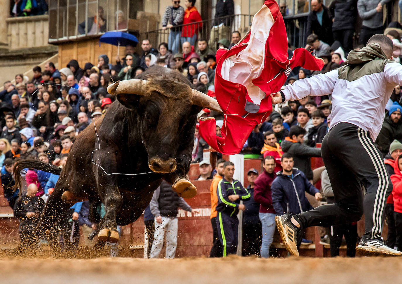 Las espectaculares imágenes del Carnaval del Toro de Ciudad Rodrigo