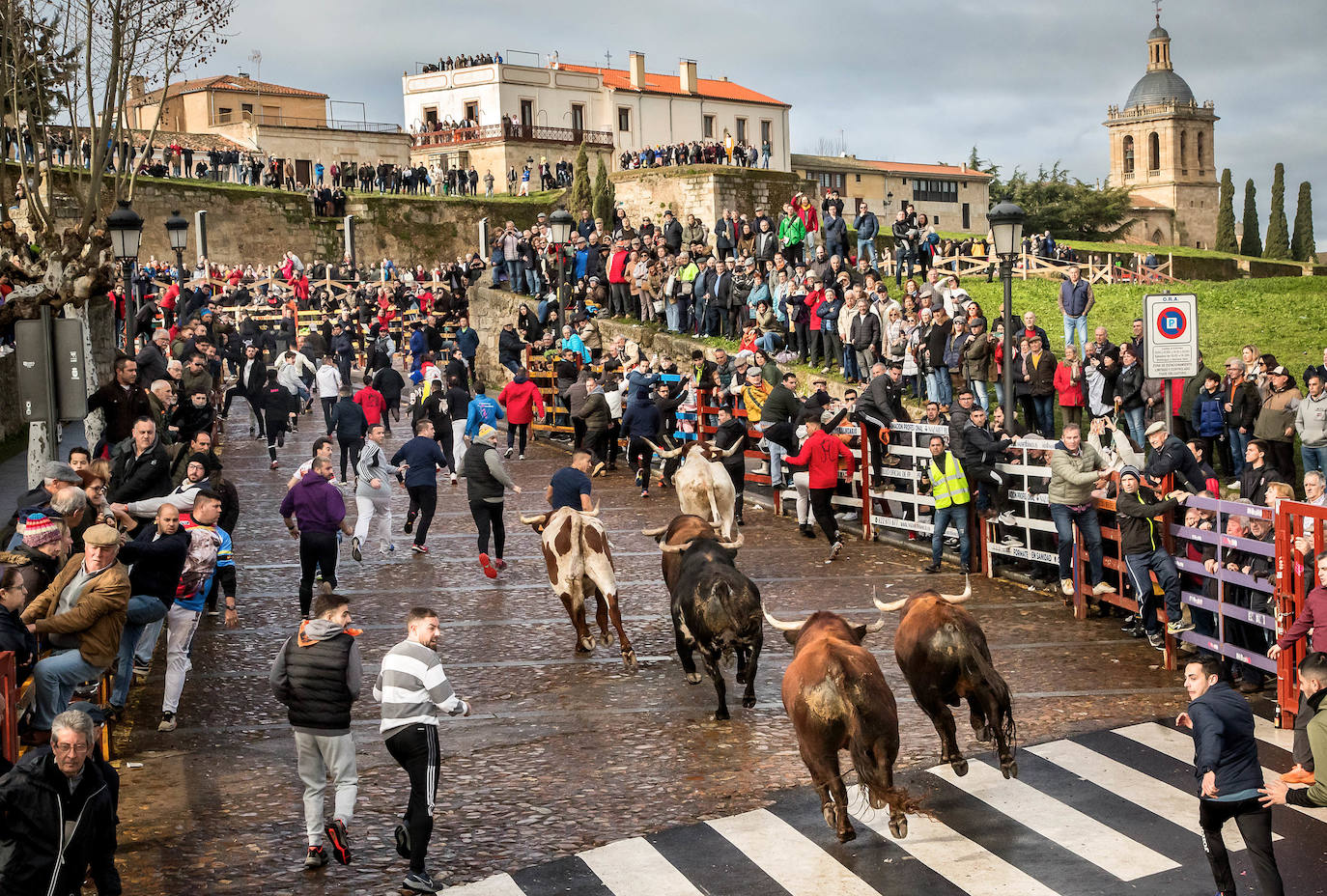 Las espectaculares imágenes del Carnaval del Toro de Ciudad Rodrigo