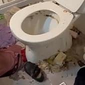 Vídeo | Esta es la casa en la que vivían las niñas localizadas en un supermercado