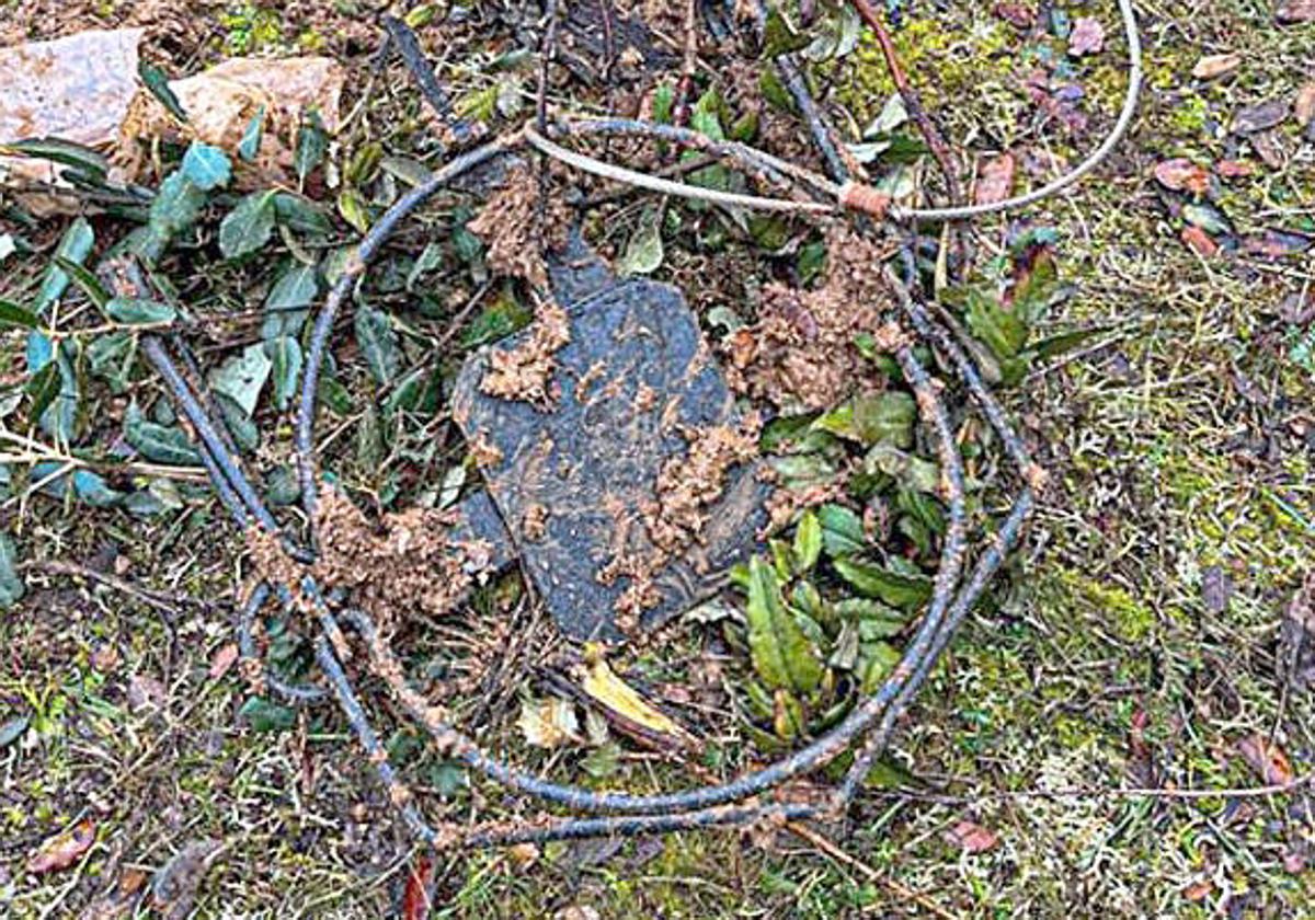 El cepo localizada por la asociación en los Montes Torozos.