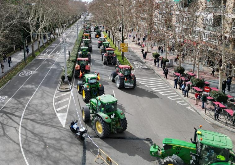 Decenas de tractores en el Paseo Zorrilla para dirigirse hacia el Puente Adolfo Suárez.