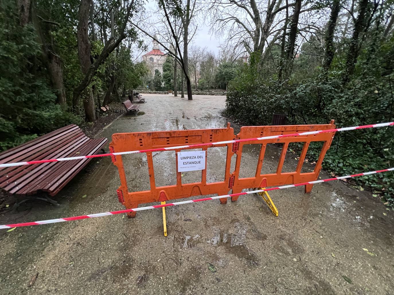 El vaciado del estanque de Campo Grande, en imágenes