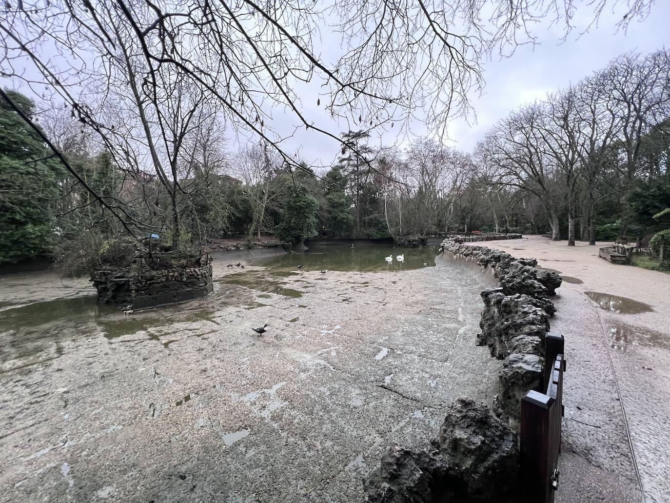 El vaciado del estanque de Campo Grande, en imágenes