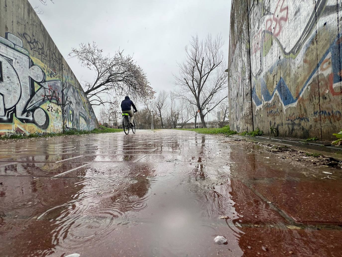 Precipitaciones en Valladolid, sin «lluvia de sangre»