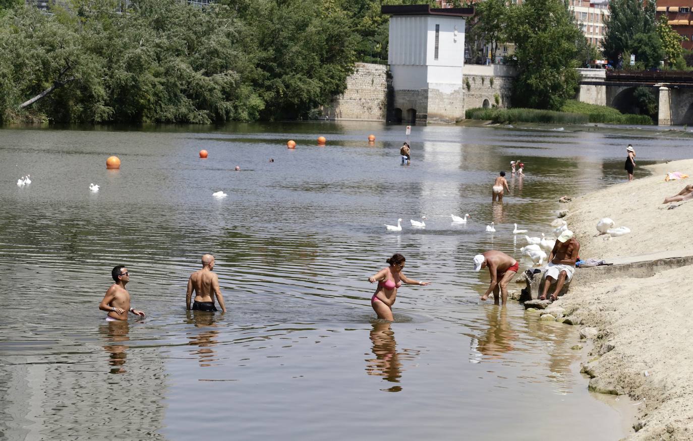 Un grupo de bañistas se refresca en la orilla de la playa de las Moreras.