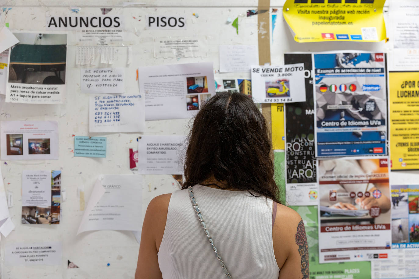 Una estudiante observa el tablón de anuncios de la Facultad de Derecho de la UVA.