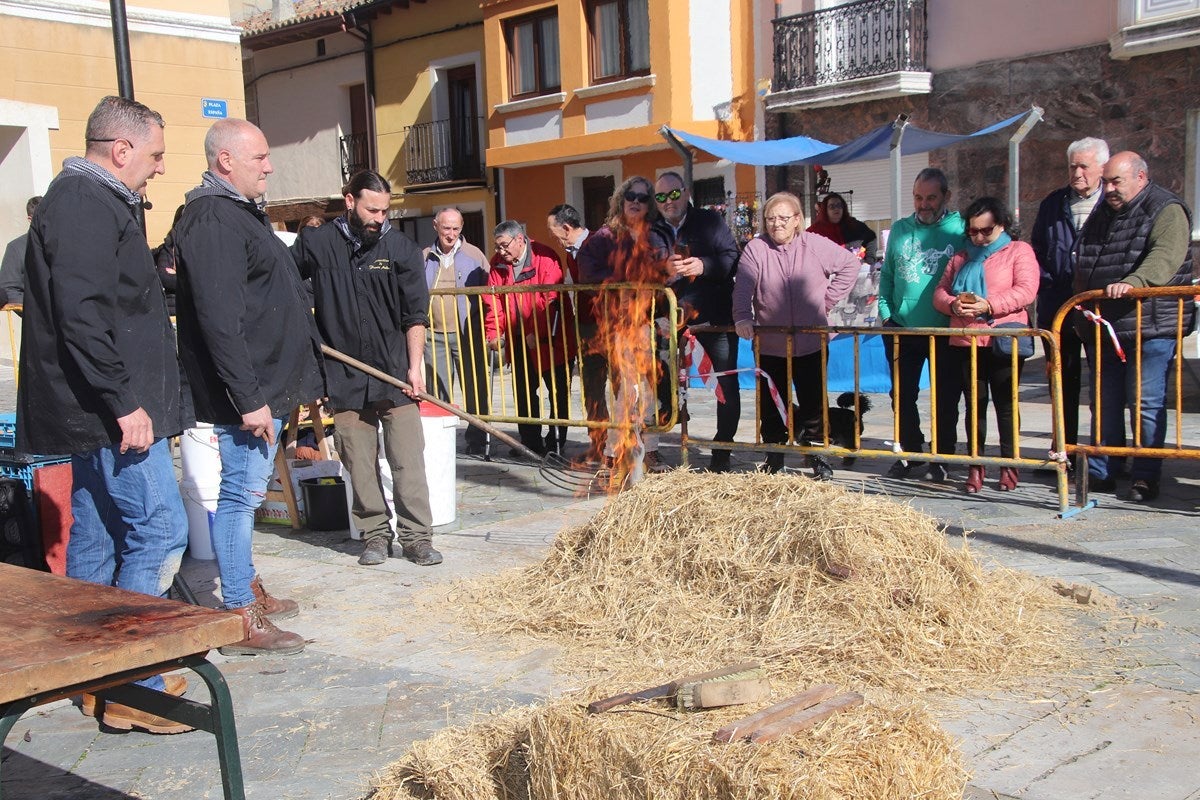 II Fiesta de la Matanza y Mercado Artesano en Torquemada