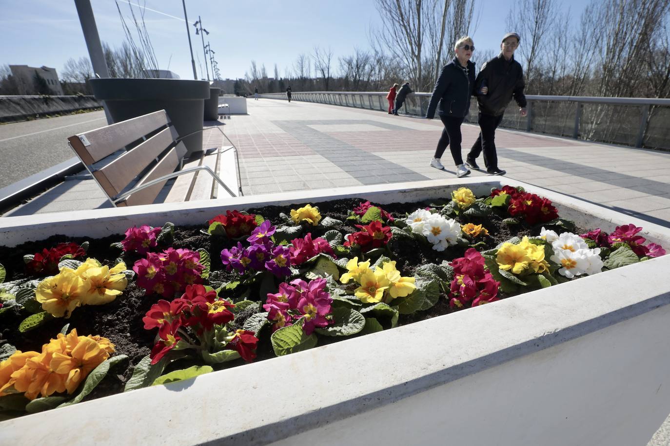 Las imágenes de la reforma realizada en el puente de Santa Teresa