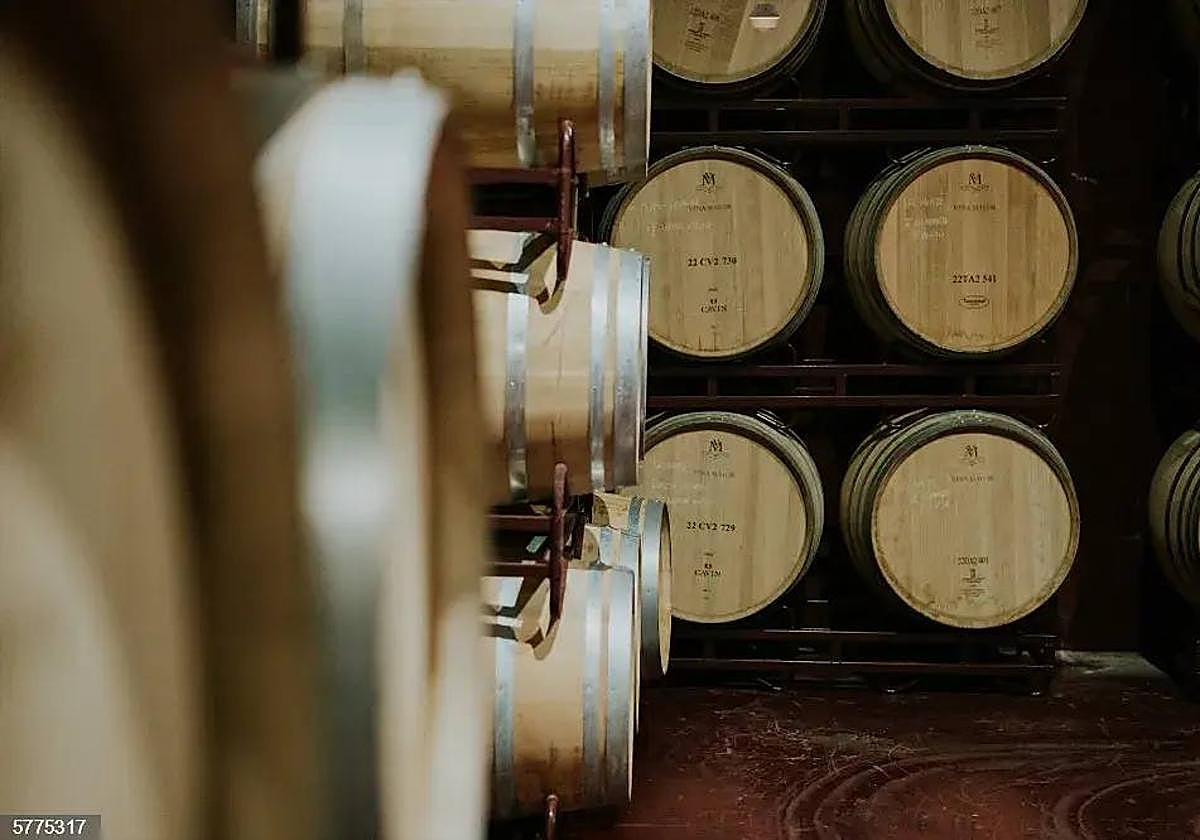 Barricas de la bodega Viña Mayor.