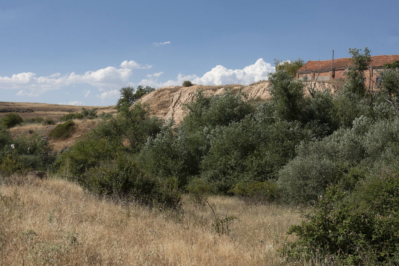 Entorno del colector de Tejadilla.