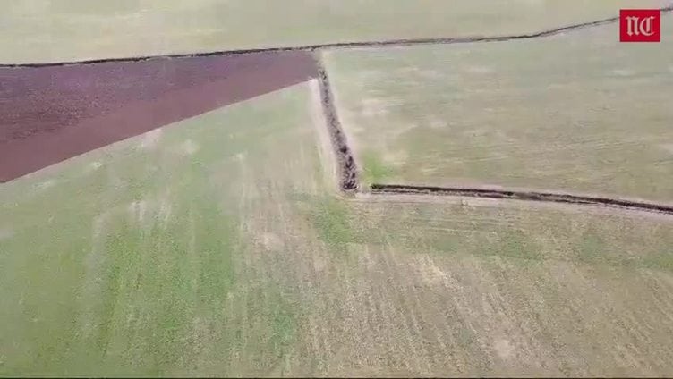 Daños de los topillos en una parcela en Boadilla de Rioseco