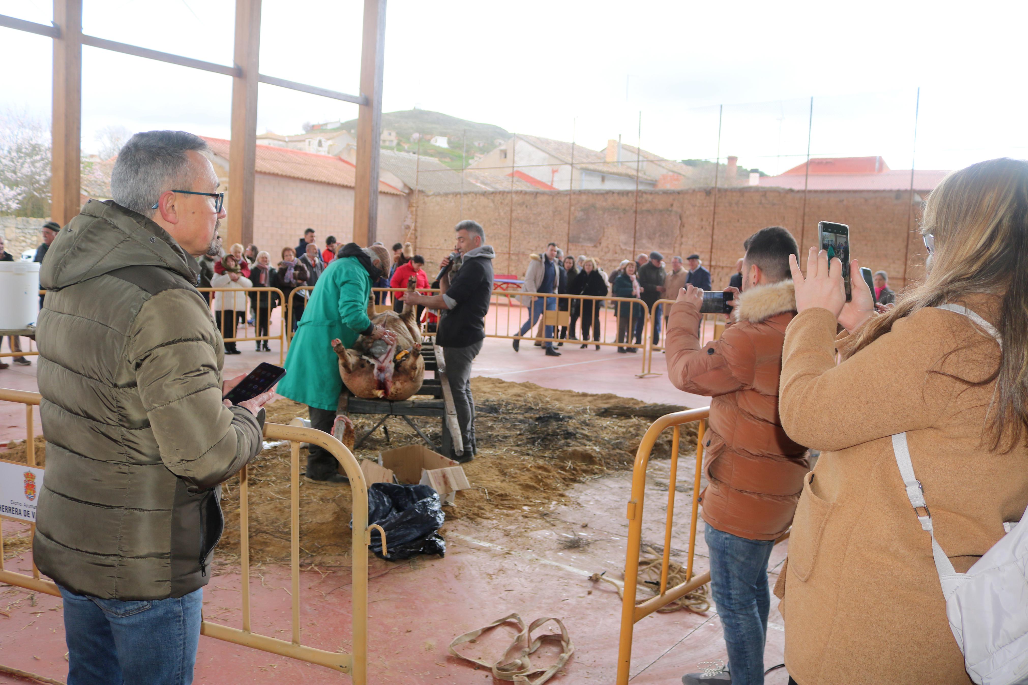 IV Jornada de la Matanza en Herrera de Valdecañas