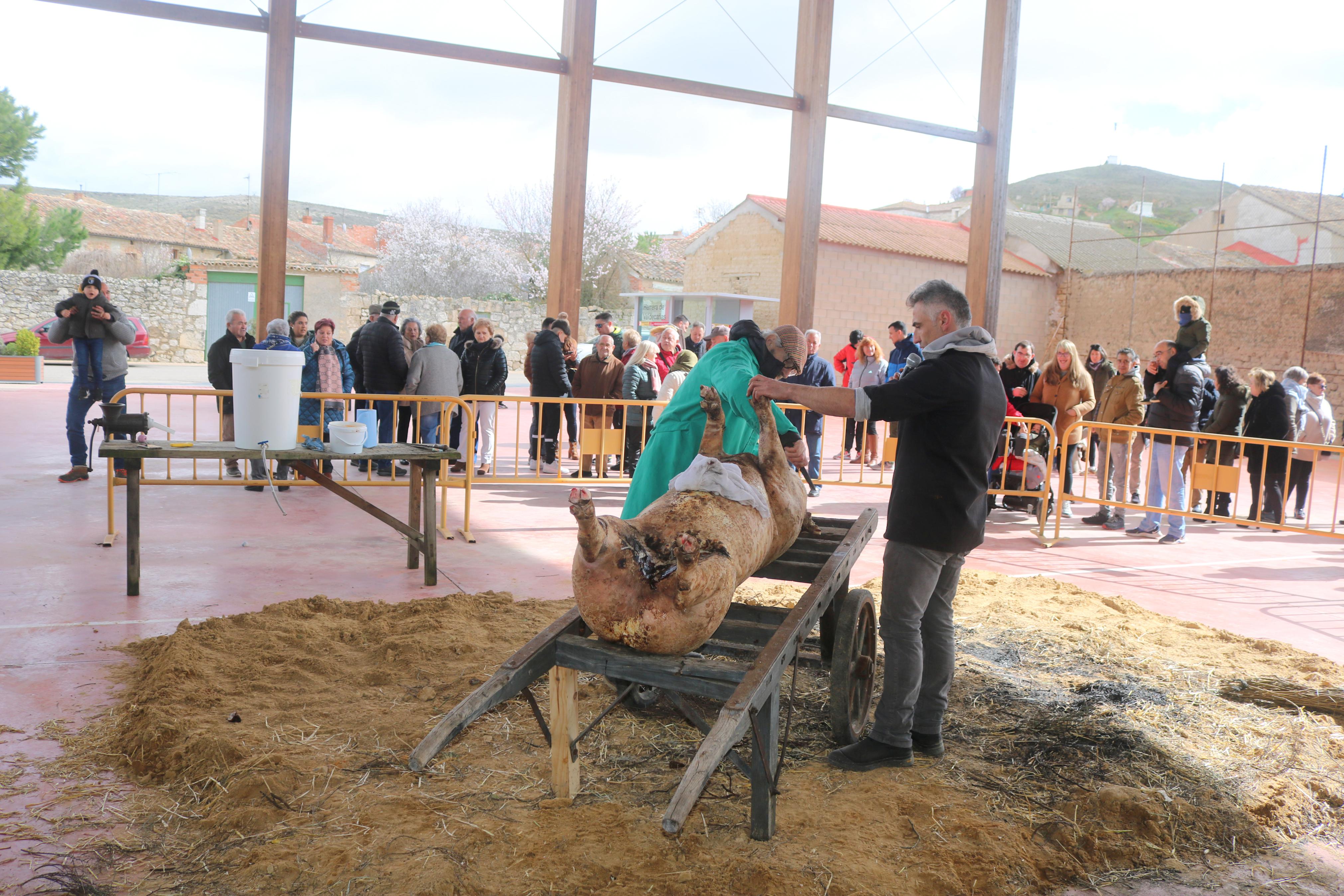 IV Jornada de la Matanza en Herrera de Valdecañas