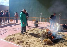 Chamuscado del cerdo en Herrera de Valdecañas.