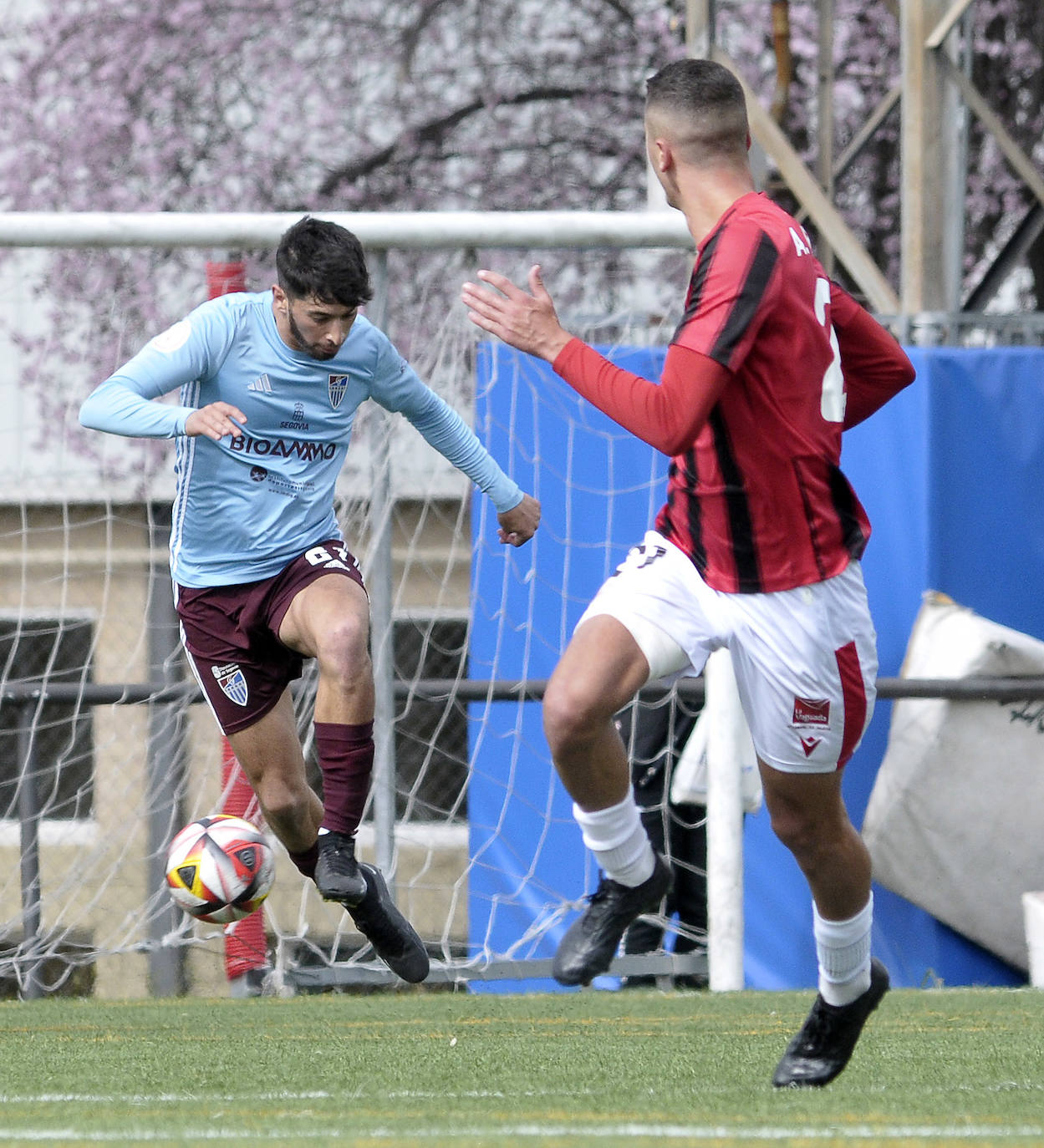 El empate entre Adarve y Segoviana, en imágenes