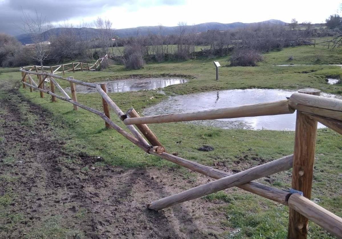 Postes de madera rotos en la zona de las pozas de lino, que se acaban de restaurar.