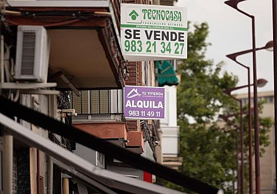 Varios carteles de alquiler de vivienda en una imagen de archivo en Valladolid.