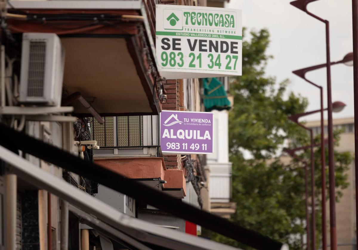 Varios carteles de alquiler de vivienda en una imagen de archivo en Valladolid.