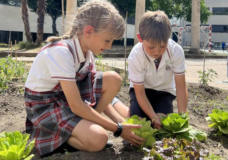 Alumnos, en el Huerto Escolar.