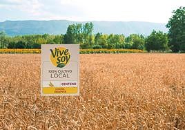 Imagen promocional de la bebida vegetal de Pascual.