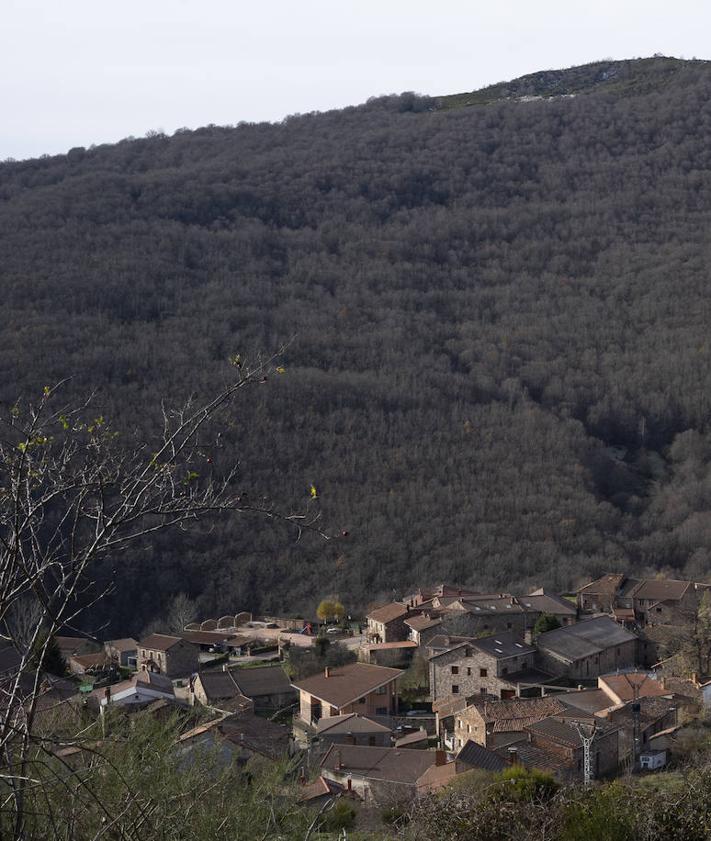 Imagen secundaria 2 - Imágenes de la montaña palentina.