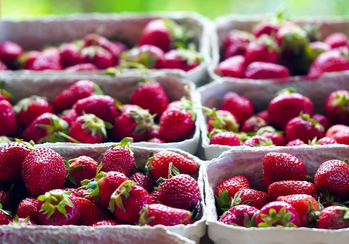 Alerta sanitaria tras detectar el virus de la Hepatitis A en fresas de Marruecos