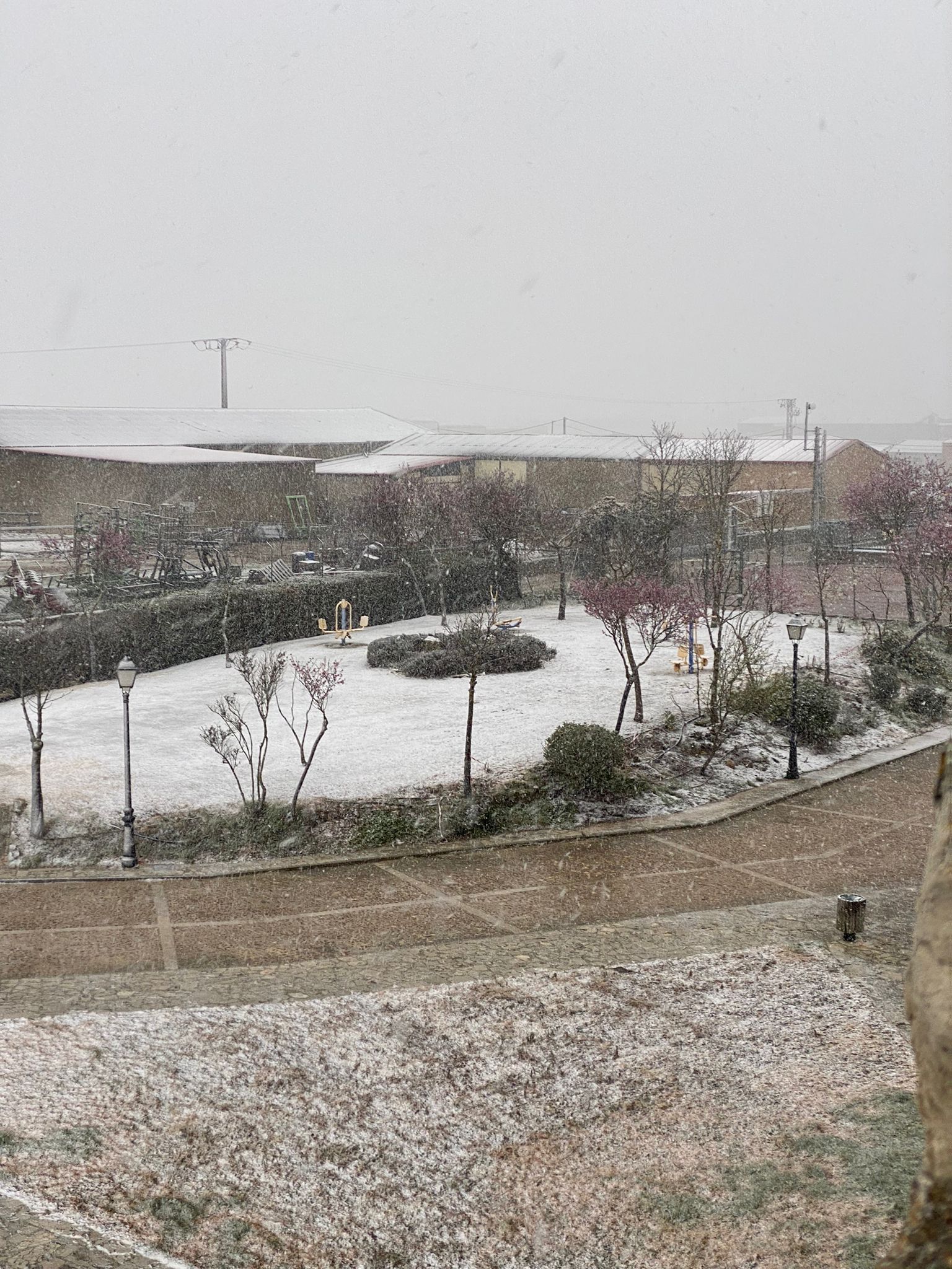 La provincia de Valladolid cubierta de nieve, en imágenes