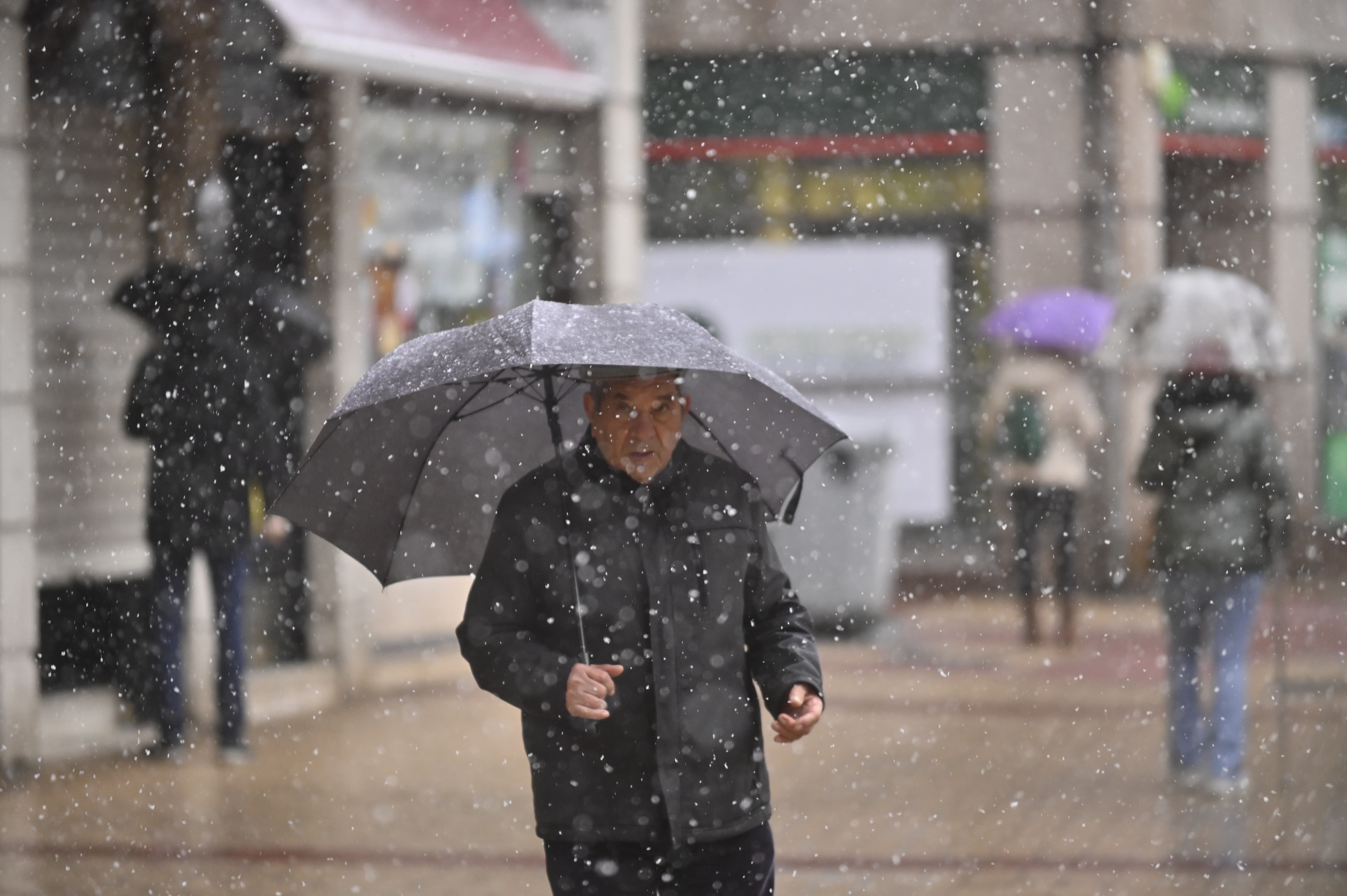 Las imágenes de Valladolid teñida de blanco por la nieve