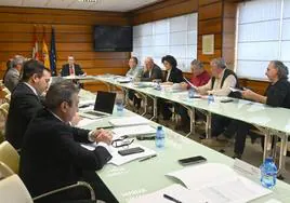 Participantes en el Consejo Agrario Regional celebrado este viernes y presidido por el consejero, Gerardo Dueñas.