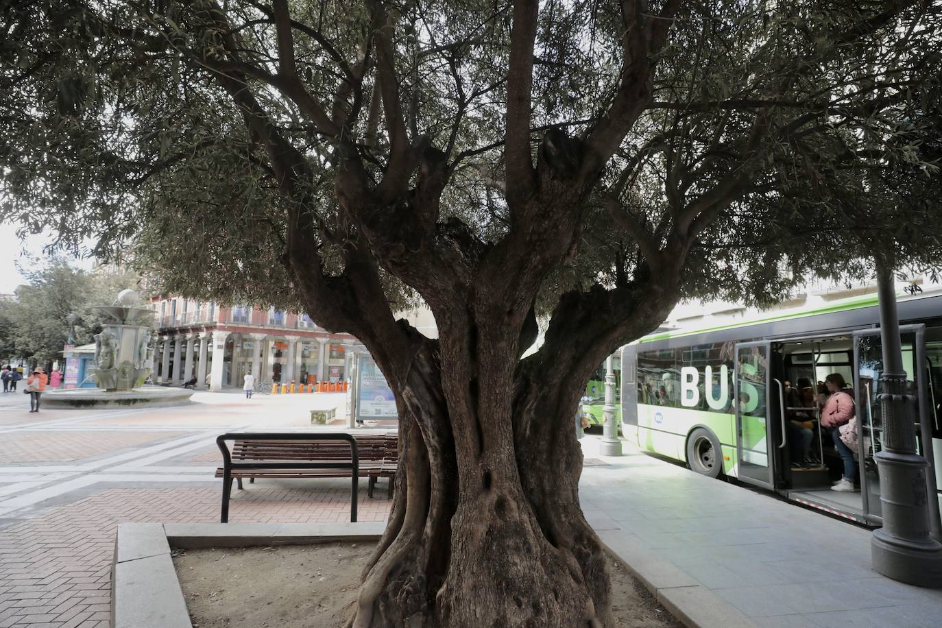 Un paseo en imágenes por la plaza de Fuente Dorada