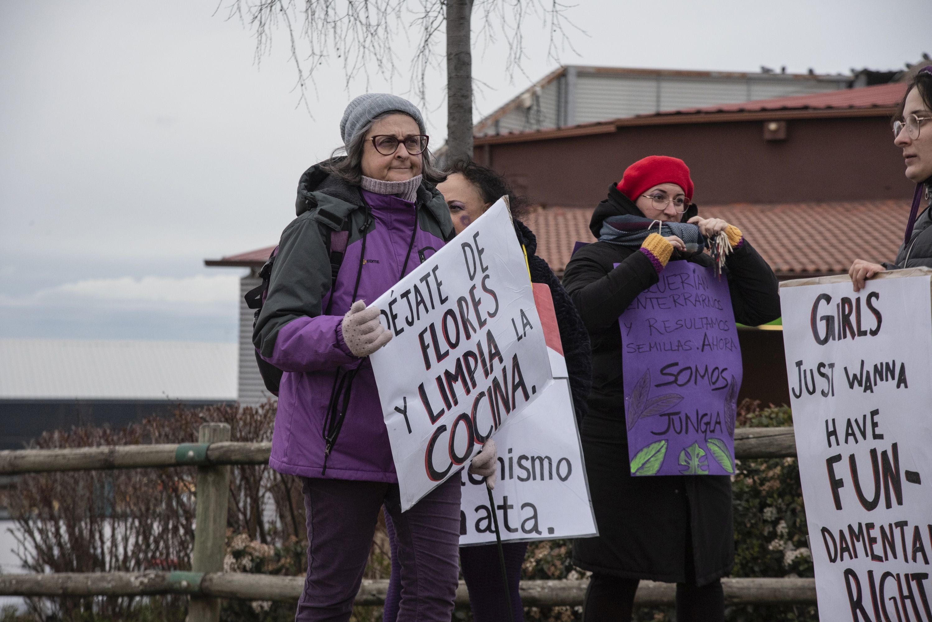 La manifestación del 8M en Segovia, en imágenes